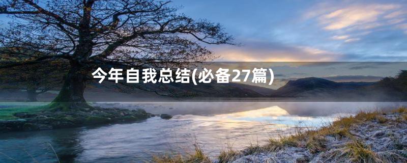 今年自我总结(必备27篇)