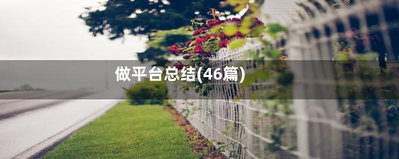 做平台总结(46篇)