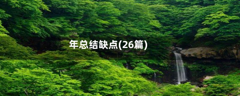 年总结缺点(26篇)