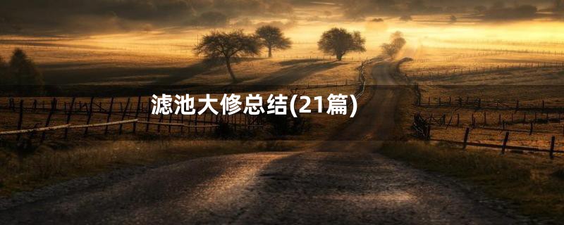 滤池大修总结(21篇)