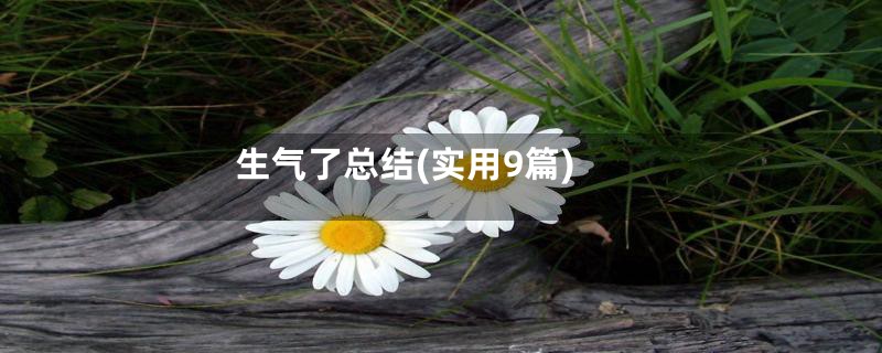 生气了总结(实用9篇)