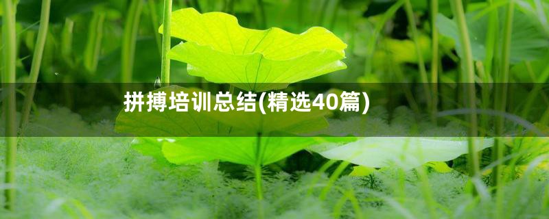 拼搏培训总结(精选40篇)