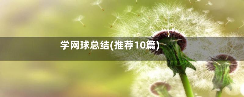 学网球总结(推荐10篇)