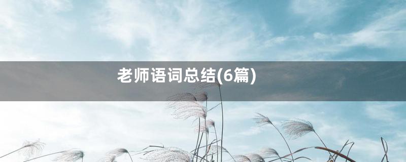 老师语词总结(6篇)