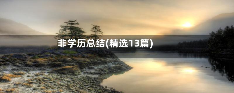 非学历总结(精选13篇)
