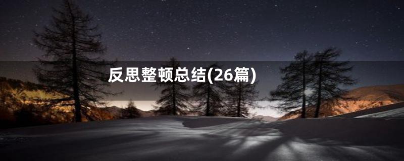 反思整顿总结(26篇)