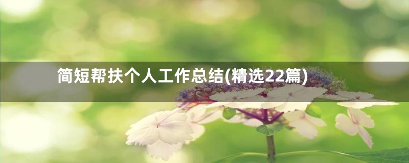 简短帮扶个人工作总结(精选22篇)