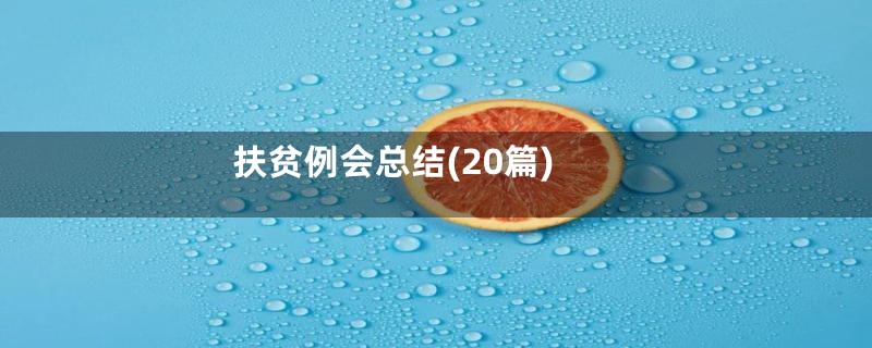 扶贫例会总结(20篇)