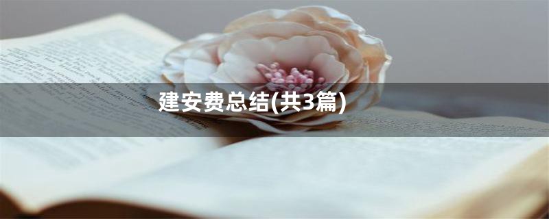 建安费总结(共3篇)