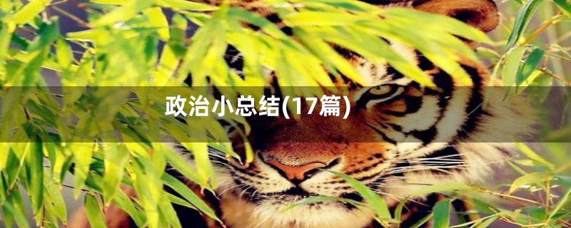 政治小总结(17篇)
