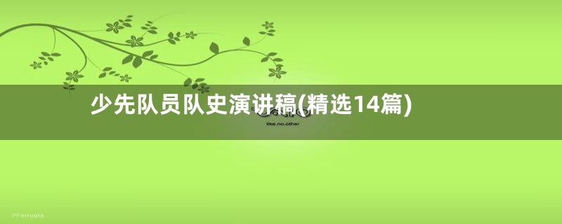 少先队员队史演讲稿(精选14篇)