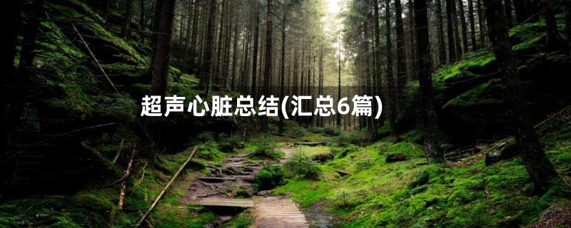 超声心脏总结(汇总6篇)