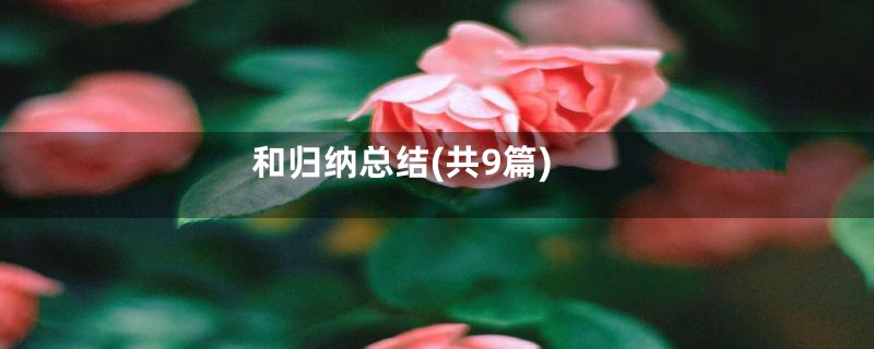 和归纳总结(共9篇)
