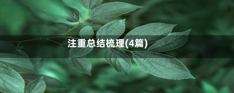 注重总结梳理(4篇)