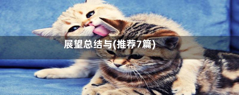展望总结与(推荐7篇)