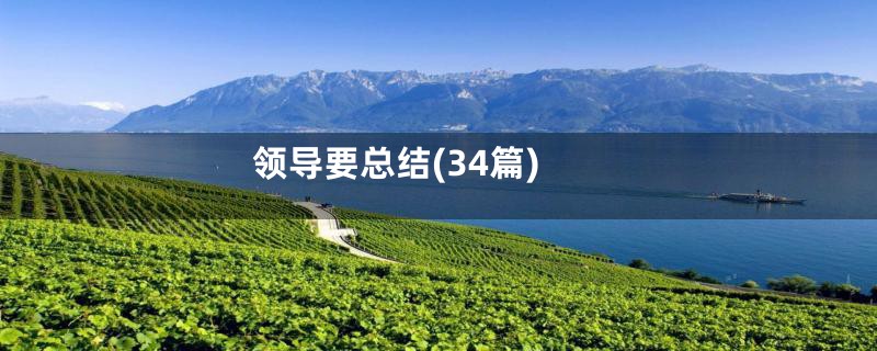 领导要总结(34篇)