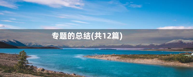 专题的总结(共12篇)