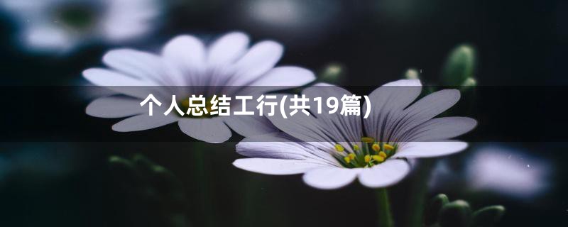个人总结工行(共19篇)