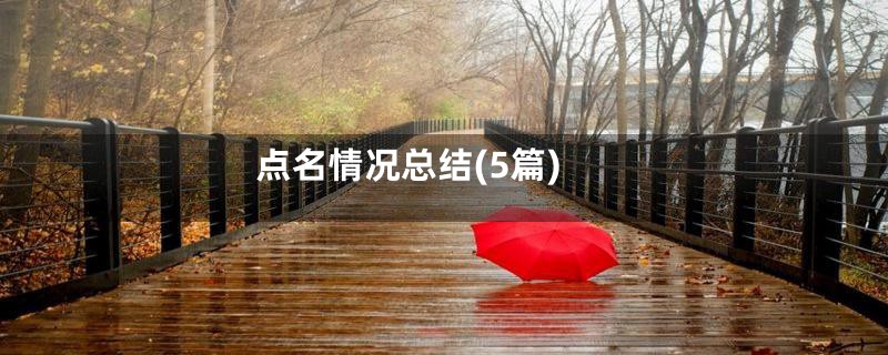 点名情况总结(5篇)