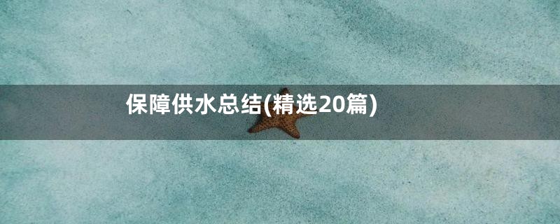 保障供水总结(精选20篇)