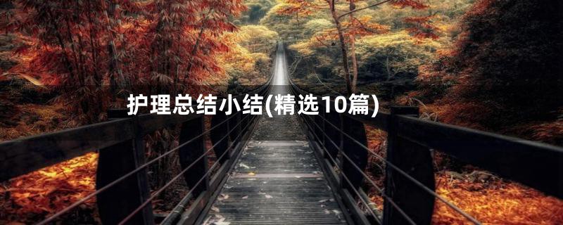 护理总结小结(精选10篇)