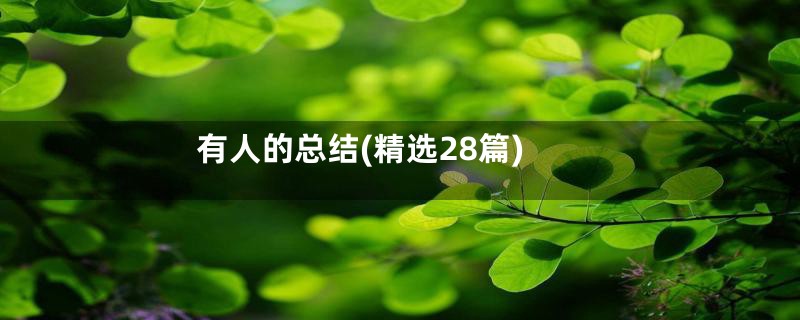 有人的总结(精选28篇)