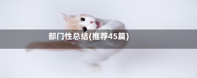 部门性总结(推荐45篇)