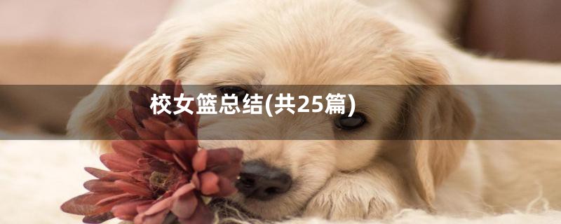 校女篮总结(共25篇)