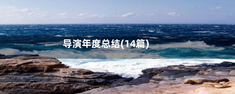 导演年度总结(14篇)
