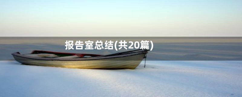 报告室总结(共20篇)