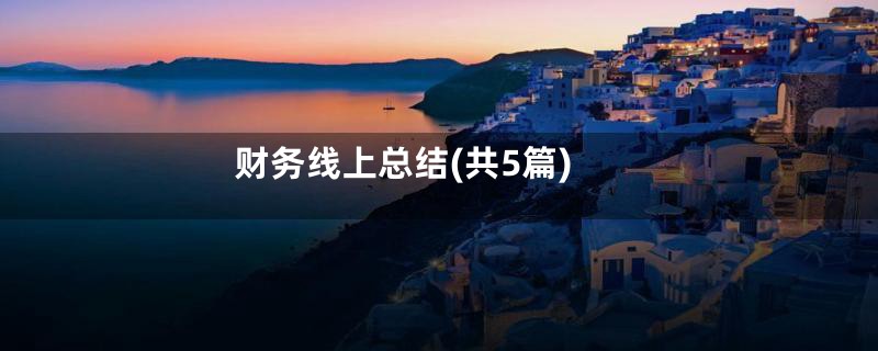 财务线上总结(共5篇)