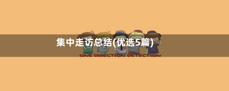 集中走访总结(优选5篇)