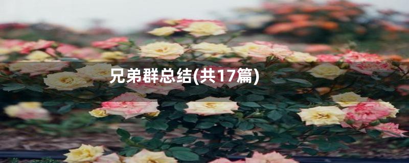 兄弟群总结(共17篇)