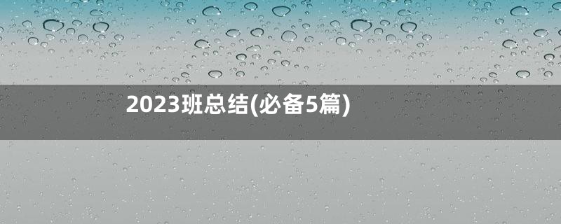 2023班总结(必备5篇)