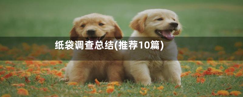 纸袋调查总结(推荐10篇)