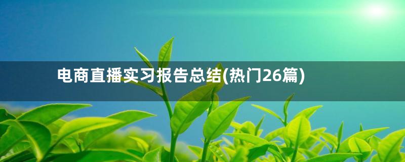 电商直播实习报告总结(热门26篇)