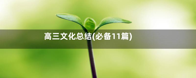 高三文化总结(必备11篇)