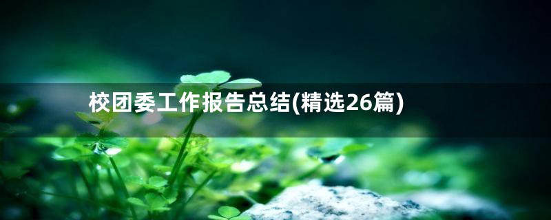 校团委工作报告总结(精选26篇)