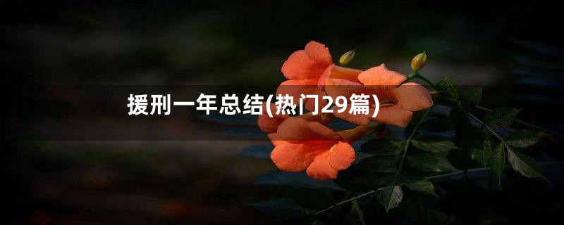 援刑一年总结(热门29篇)