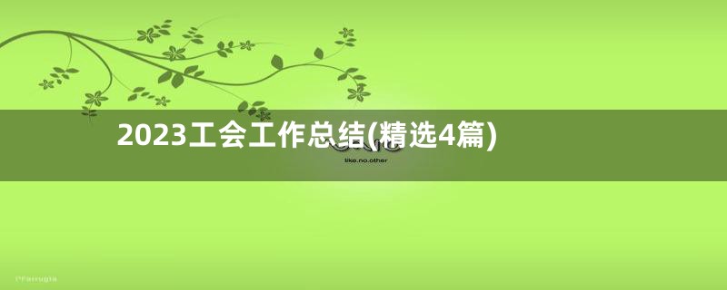 2023工会工作总结(精选4篇)