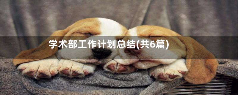 学术部工作计划总结(共6篇)