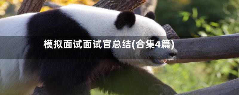 模拟面试面试官总结(合集4篇)
