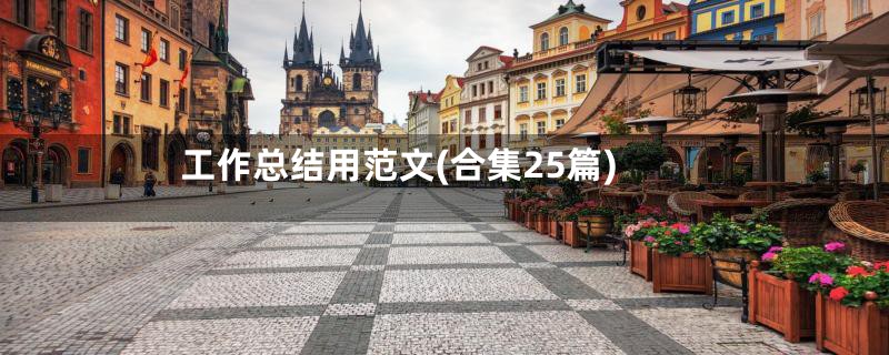 工作总结用范文(合集25篇)