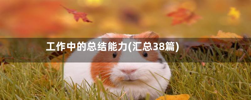 工作中的总结能力(汇总38篇)