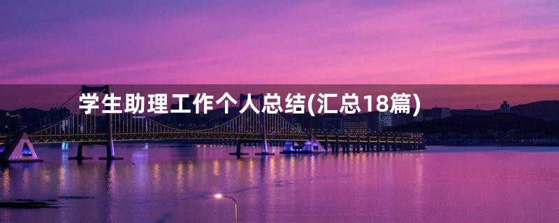 学生助理工作个人总结(汇总18篇)