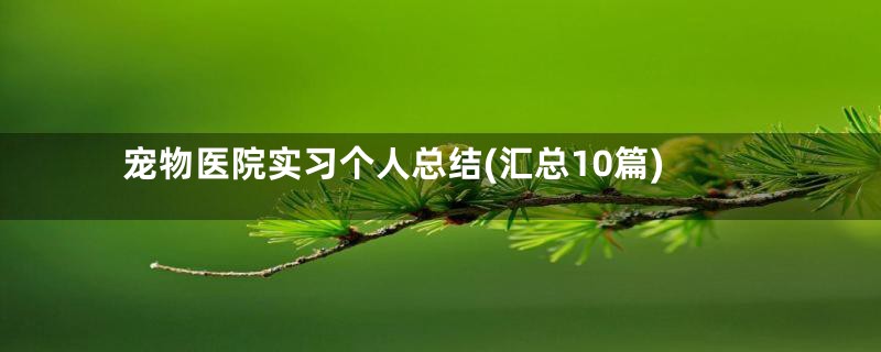 宠物医院实习个人总结(汇总10篇)