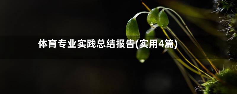 体育专业实践总结报告(实用4篇)