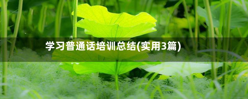学习普通话培训总结(实用3篇)