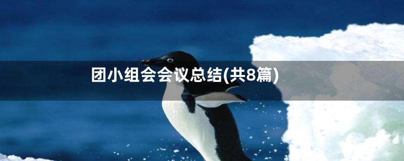 团小组会会议总结(共8篇)