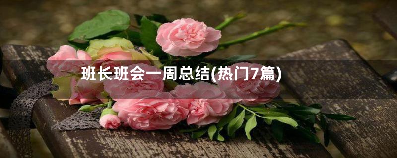 班长班会一周总结(热门7篇)
